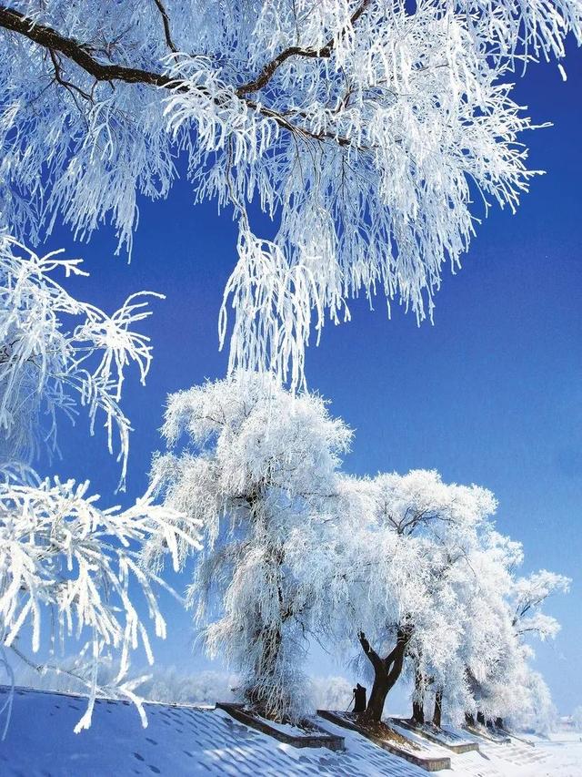 世界十大奇景图片，中国十大世界级绝世美景，你去过几个