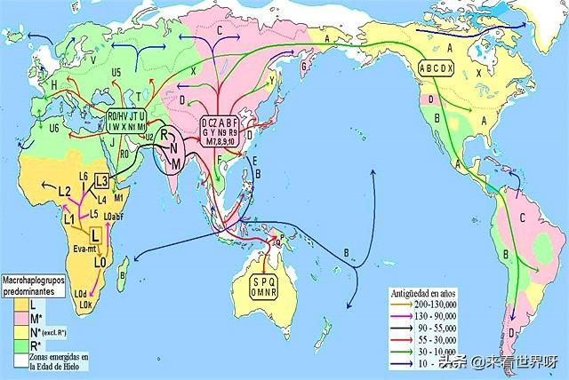 马鹿洞人:北京山顶洞人、元谋人或者蓝田人是不是中国人的祖先？为什么？