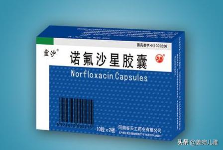 犬细小病:怎样判断狗狗是否得了细小病？没有宠物医院，该怎么治疗护理？