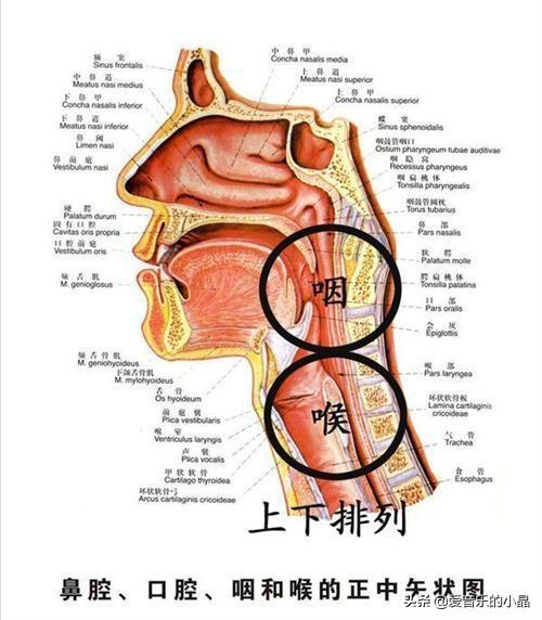 东方不败蒙面歌王:笑傲江湖之东方不败所有插曲