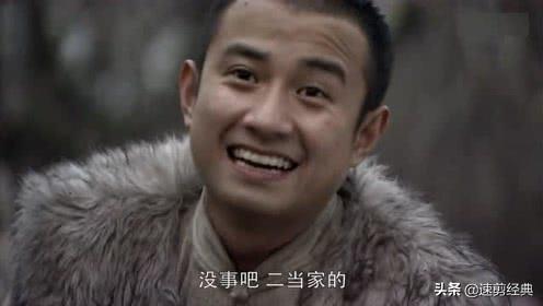 雪豹文章版:如何评价电视剧《雪豹》中文章的表现？