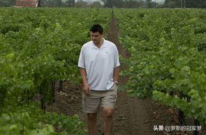 九年前，姚明花重金买下纳帕谷48英亩的葡萄园，现在赚了多少钱