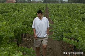 赵薇酒庄:4000多万买下法国酒庄，为什么赵薇频上热搜