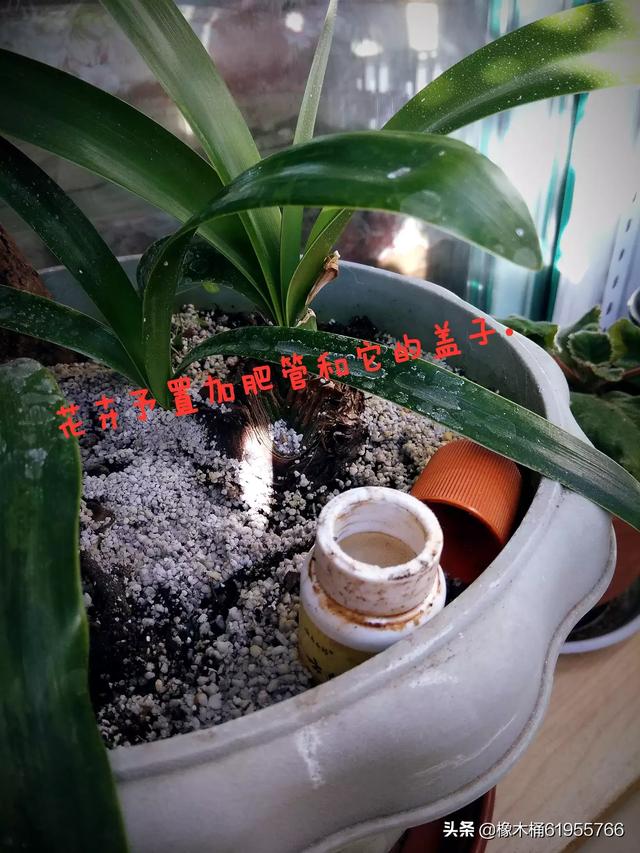 发酵吧创业君，生意难做，创业失败，负债累累，想上岸者抱团取暖怎么样