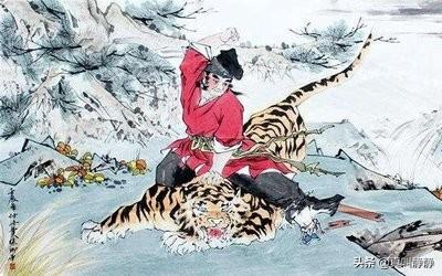 臧獒比赛:藏獒介绍 张继科为什么会被刘国梁称为藏獒？