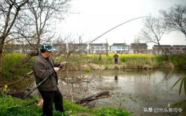 大水榕长出水面:真心请教，野钓水底长满了厚厚的水草（整条河都是）该如何作钓？