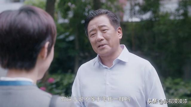 如何看待《安家》里的林茂根？