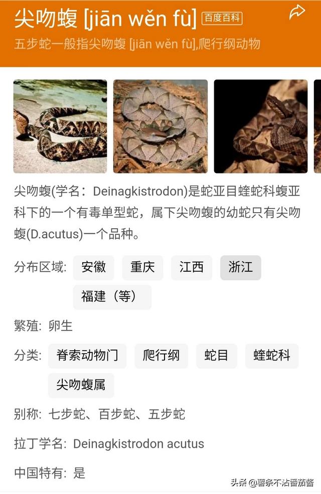 你有没有发自内心恐惧的昆虫或者动物？