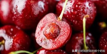 植物种子的传播方式有哪些(植物种子的传播方式有哪些 百度经验)