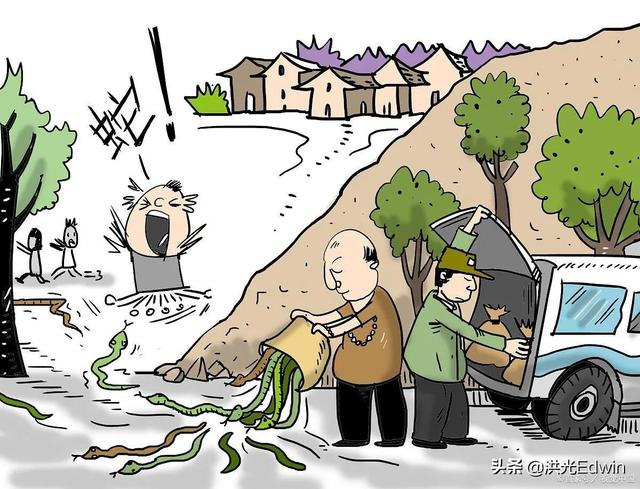 雄黄酒好还是雄黄驱蛇好:雄黄泡酒怎样驱蛇，效果怎么样？