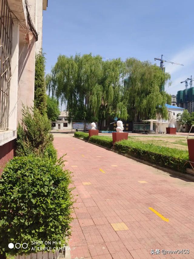 初中生可以自学些什么,不想被课本禁锢知识？