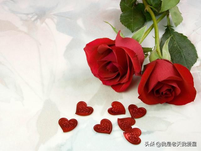 爱情和面包你会选择哪个？为什么？