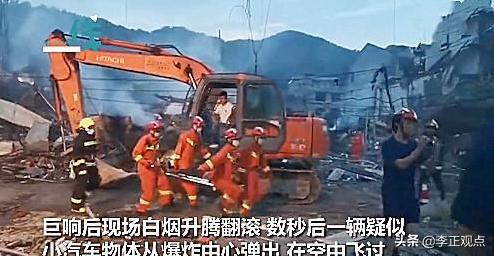 地震搜救犬全部处死无弹窗:你对在城市小区里养狗怎么看？