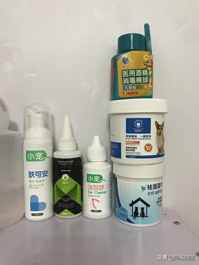 猫癣初期症状图:猫咪长猫癣的初期症状，猫藓初期是什么样子的？