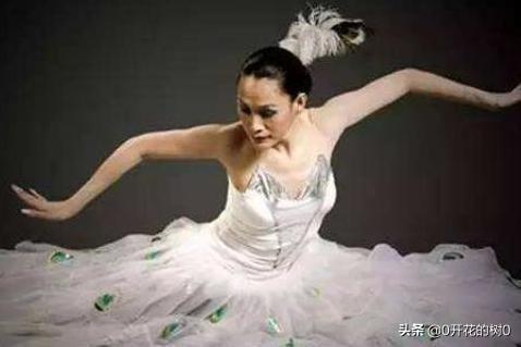 杨丽萍年轻长什么样，杨丽萍的舞蹈有看不懂的人吗