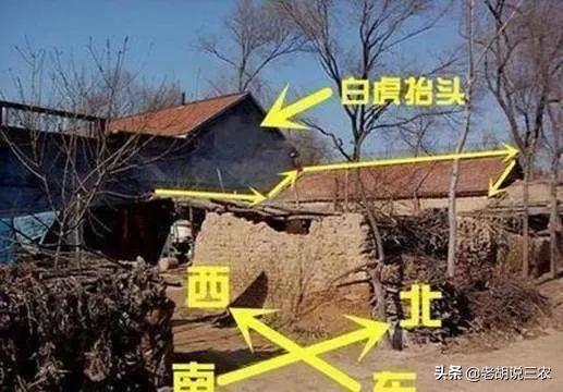 东方四大鬼宅:俗语“白虎盖青龙，代代有人穷”，农村这盖房的讲究有道理吗？