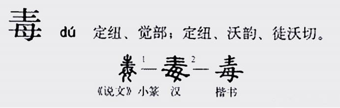 母亲这么伟大,为何“毒”里却有个“母”字？这两字究竟有何关联？