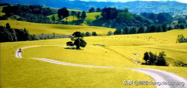 头条问答 我爱的人名花有主 爱我的人惨不忍睹 我该怎么办 师姐dengxiashiqing的回答 0赞