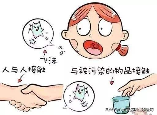 冠状病毒怎么引起的(猫咪冠状病毒怎么引起的)