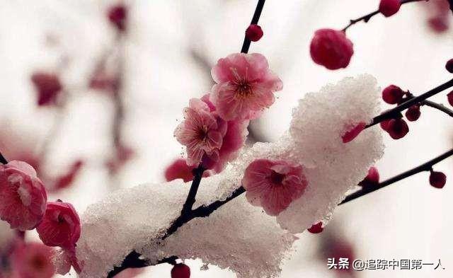 摄影师林德伯格去世:如果你的作品根本不可能结集出版，就没必要再写下去了，你咋看