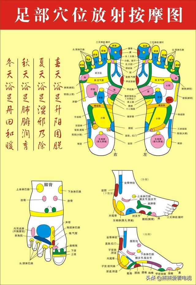 足底反射区图长期按摩脚底有什么好处