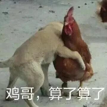 海清小品:相声演员拜师摆知是不是陈规陋习？