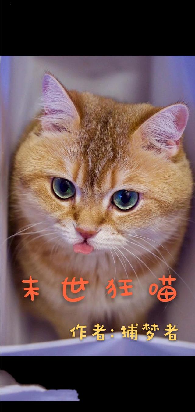 宠物店系统小说排行榜:刚开的宠物店适合用宠物店系统吗？有什么系统推荐？ 开宠物店的系统小说