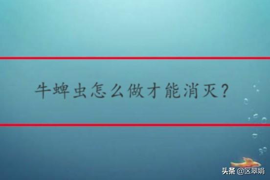 防治牛蜱:牛身上的牛蜱外用什么药好？