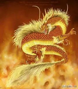 曼赤肯猫有基因缺陷吗:为什么有土猫养不熟的说法？土猫真的养不熟？
