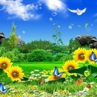 7月15灵异事件图片:刚过七月十五中元节，说说你们遇到过的诡异事件吧？