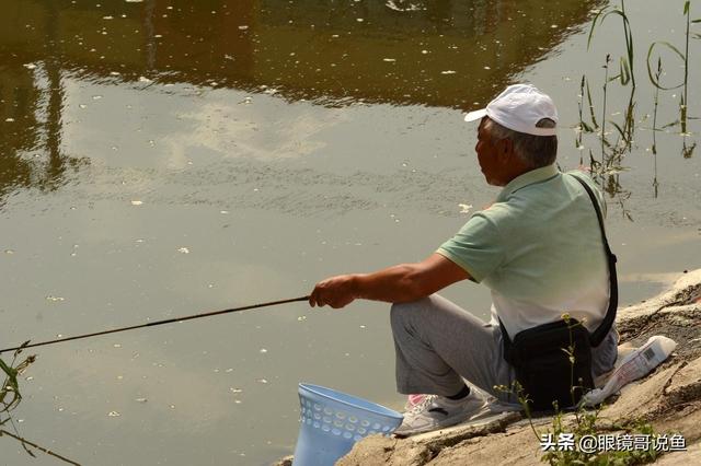 广东水怪:在野外钓鱼你会用几根竿子为什么