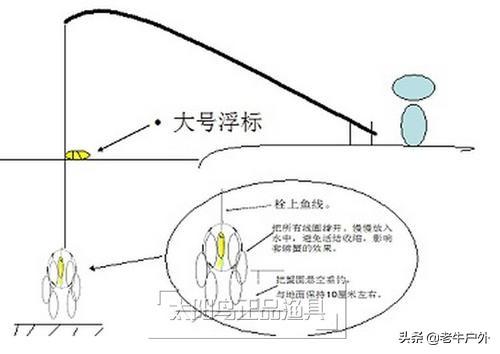 泥鳅党什么意思，泥鳅党为何人人喊打，只是饵料不同，不都是钓鱼吗