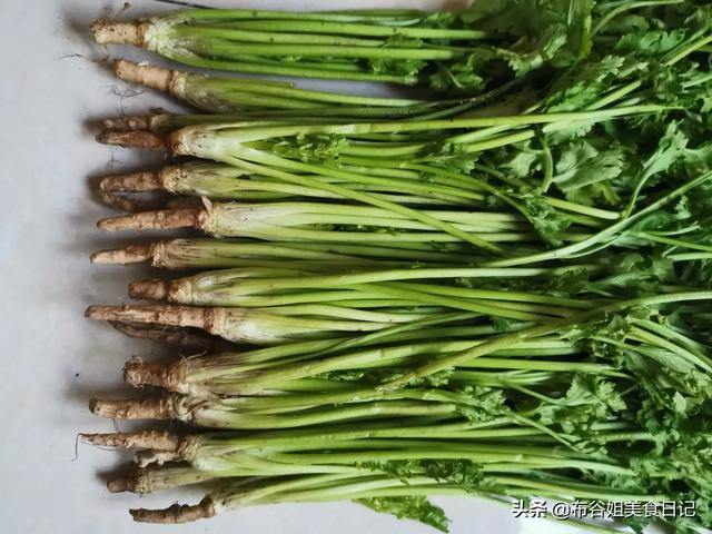 香菜根煮水喝的好处有哪些？插图8