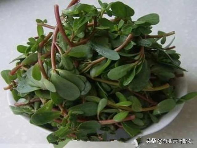 马上入秋了,说说你农村老家秋天还有什么可以吃的野菜呢？
