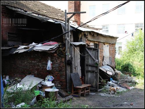 矛齿鲸骨架:农村俗语：宁住披头房，不住露骨屋，啥意思？什么是露骨屋？