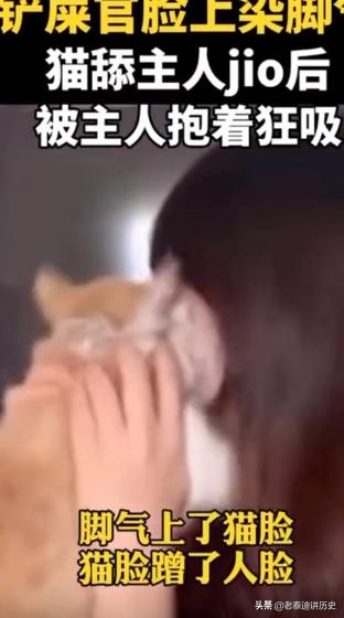 美女抱宠物猫图片大全:美女脸上莫名得脚气，来源竟是自家宠物猫，怎么回事？ 宠物猫皮肤病图片大全