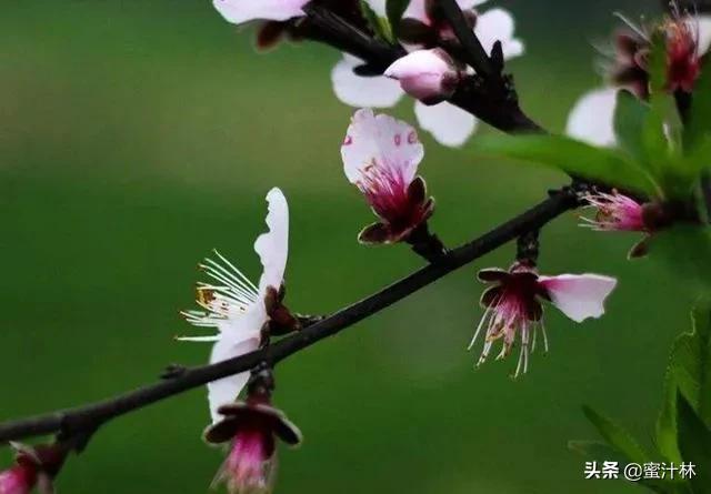 孩子为什么要躲春躲年，今日立春真的需要“躲春”吗