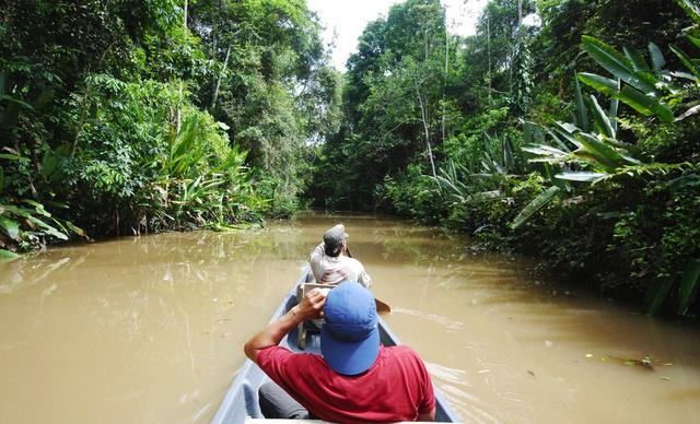 為什麼有人說亞馬遜雨林是人類禁區？到底有多恐怖？