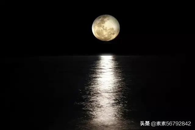 你认为外星人他们会以什么样形式存在？