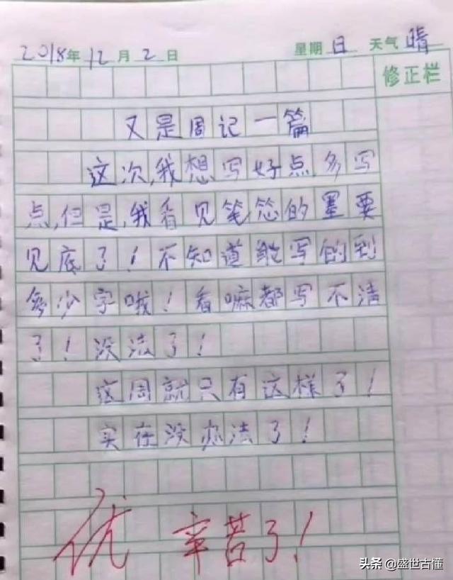 小学生作文全篇,小学生作文50字大全