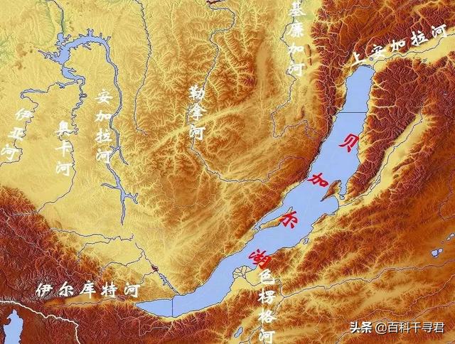 被证实的水怪，全球十大神秘生物都是什么它们真的存在吗