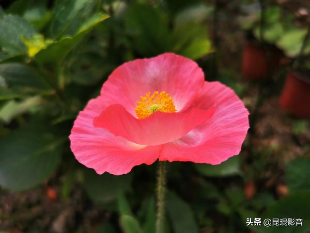 摄影师回应于正:如何看待照片后期调色被人说