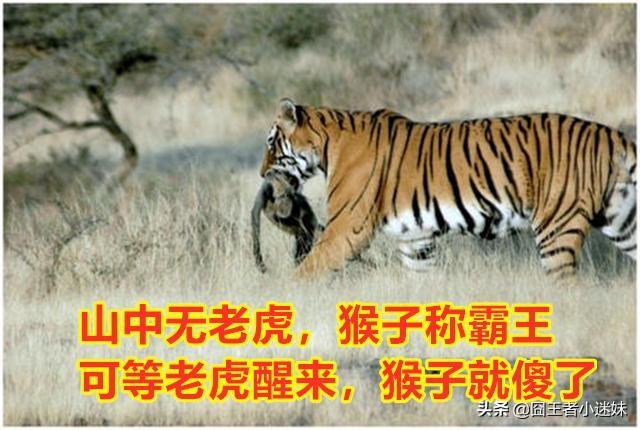 ESPN公布最新战队排名,“LPL拿下双向第一,RNG战队下滑跌出前10名”,你怎么看？