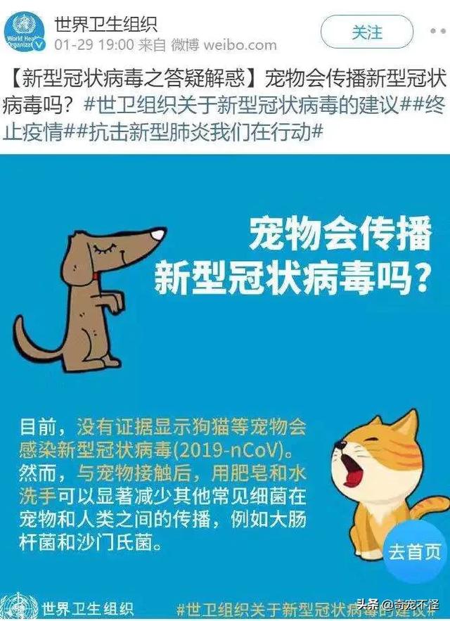 宠物资讯新闻:抗击新冠病毒疫情中，怎么管理好家中的宠物？已发现疑是被遗弃？