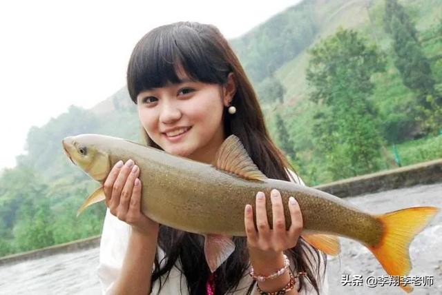 雅安砂锅雅鱼多少钱:雅鱼雅雨雅女有什么典故吗？