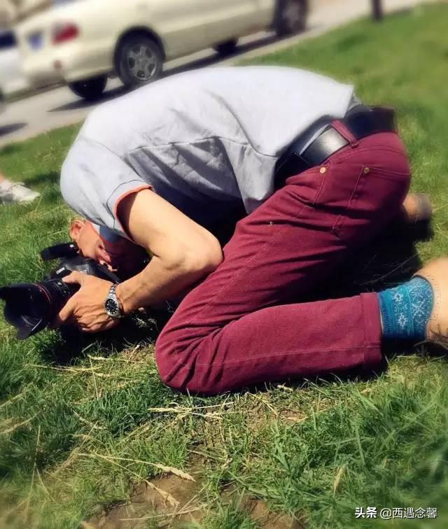 手机怎么拍出又清晰又美观的照片(手机照片变清晰的软件吗)