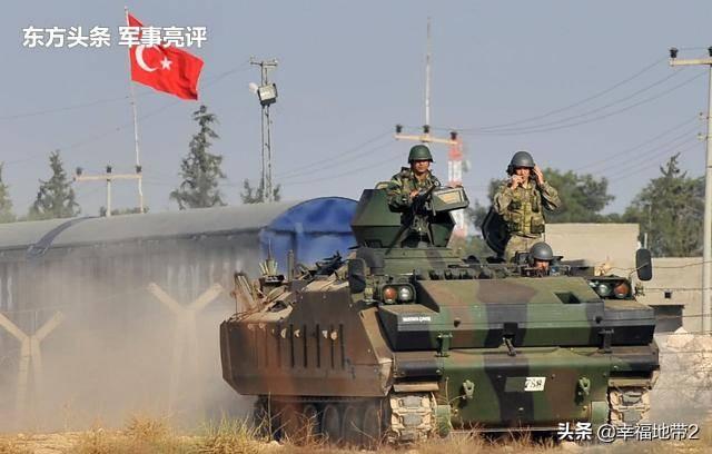 美国的土耳其安卡拉猫:土耳其安卡拉天气预报 哪一种猫的眼睛是一只蓝色、一只黄色？