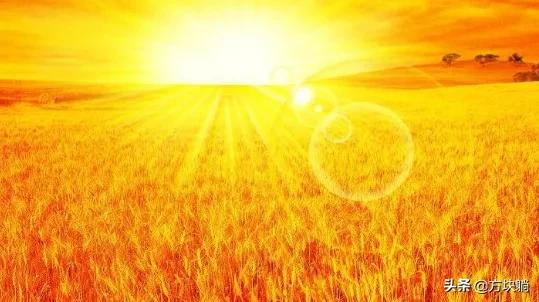 太阳像什么的比喻句，阳光像什么比喻句简单的？
