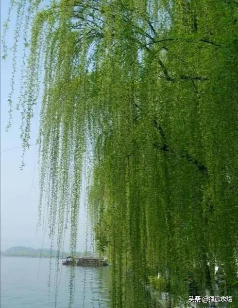 为什么唐朝人的韩愈说听不懂粤语,难道粤语不是古汉语唐音吗？