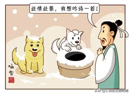 你听过那些搞笑的打油诗？